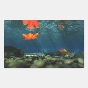 Vlammen in de Stickers