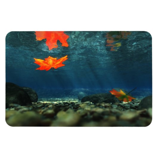 Vlammen in de waterflexibele magneet (Horizontaal)