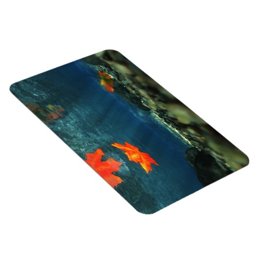 Vlammen in de waterflexibele magneet (Rechterzijde)