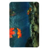 Vlammen in de waterflexibele magneet (Verticaal)