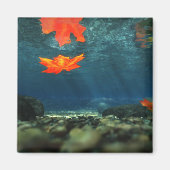 Vlammen in de watermagneet magneet (Voorkant)