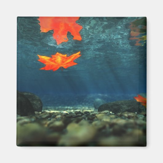 Vlammen in de watermagneet magneet (Voorkant)