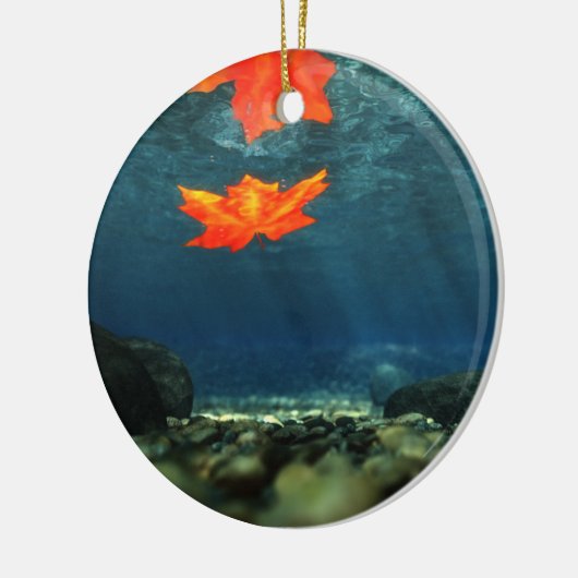 Vlammen in het Ornament water (Links)