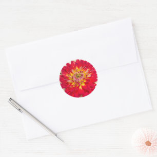 Vlammend Rode En Gele Dahlia Sticker