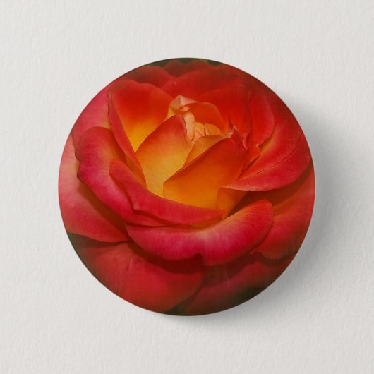 Vlammend Roos op perkament Ronde Button 5,7 Cm (Voorkant)