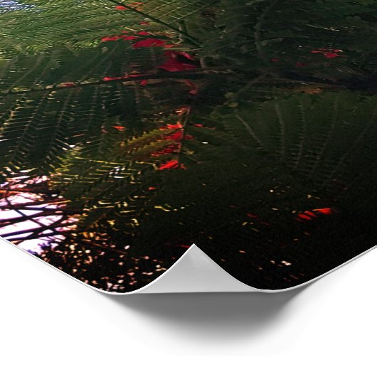 vlammende boom poster (Hoek)