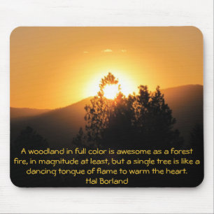 Vlammende boom Sunset met Hal Borland quote Muismat