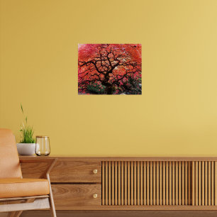 Vlammende Gnarly Japanse Esdoorn Poster
