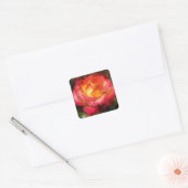vlammende Roos-Waterverf Vierkante Sticker (Envelop)