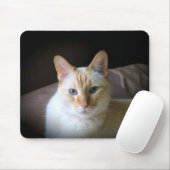 Vlampunt Siamese kat met prachtige blauwe ogen Muismat (Met muis)