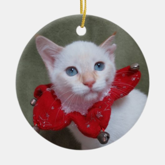 Vlampunt Siamese Kitten Ornament (Voorkant)