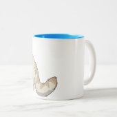 Vlampunt Siamese Mokken (Voorkant rechts)