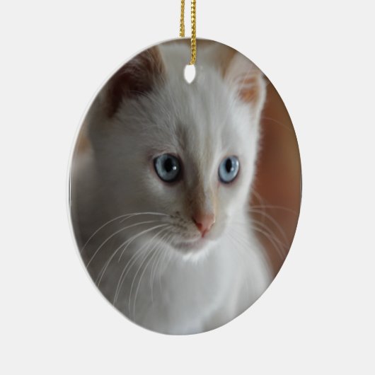 Vlampuntblauwe ogen keramisch ornament (Rechts)