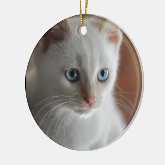 Vlampuntblauwe ogen keramisch ornament (Links)