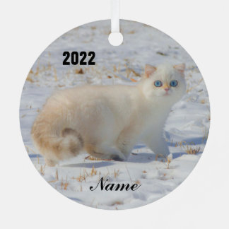 Vlampunts met blauwe ogen in de sneeuw metalen ornament