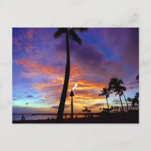 Vlamskies over het strand van Waikiki Briefkaart