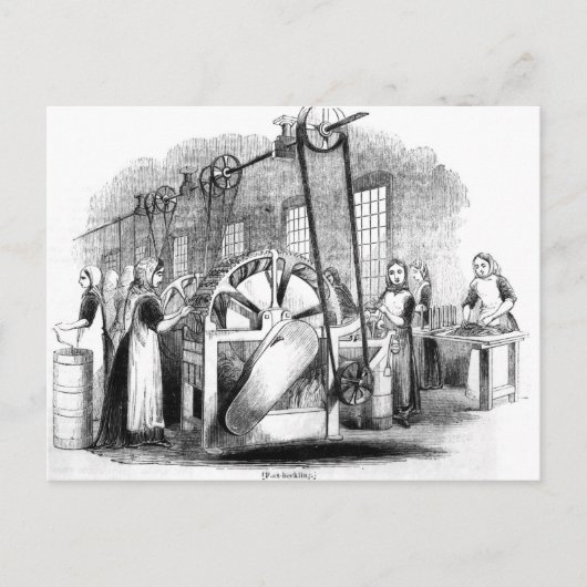 Vlas Briefkaart (Voorkant)