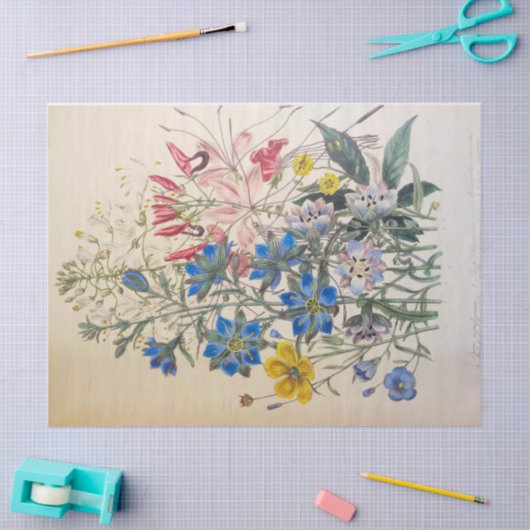 vlas en Cleomee botanisch tissuepapier (Craft)