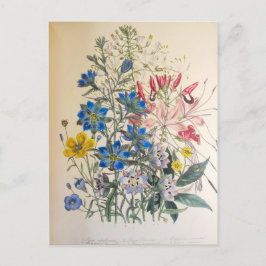  vlas en zuiver botanische illustratie briefkaart