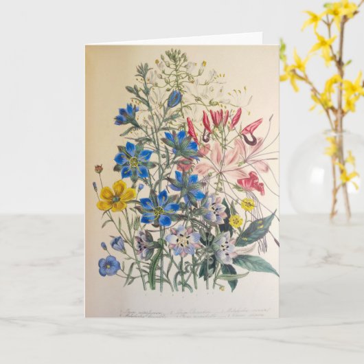  vlas en zuiver botanische illustratie kaart (Gele Bloem)