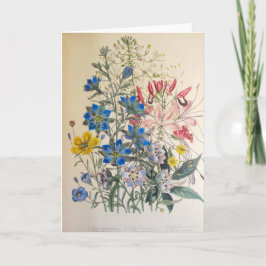 vlas en zuiver botanische illustratie kaart