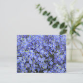 Vlasbloemen in Longwood Gardens, Pennsylvania Briefkaart (Staand voorkant)