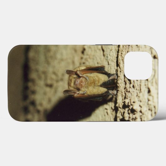 Vleermuis Case-Mate iPhone Case (Achterkant (horizontaal))