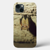 Vleermuis Case-Mate iPhone Case (Achterkant)