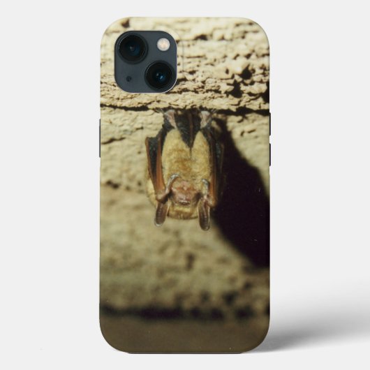 Vleermuis Case-Mate iPhone Case (Achterkant)