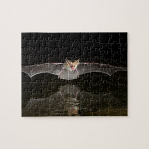 Vleermuis drinkend in vlucht, Arizona Legpuzzel