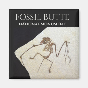 Vleermuis fossiel, Fossil Butte National Monument Magneet