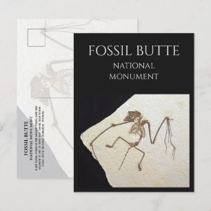 Vleermuis Fossil, van Fossil Lake, Fossil Butte, W Briefkaart