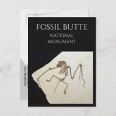 Vleermuis Fossil, van Fossil Lake, Fossil Butte, W Briefkaart (Voorkant / Achterkant)