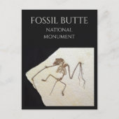 Vleermuis Fossil, van Fossil Lake, Fossil Butte, W Briefkaart (Voorkant)