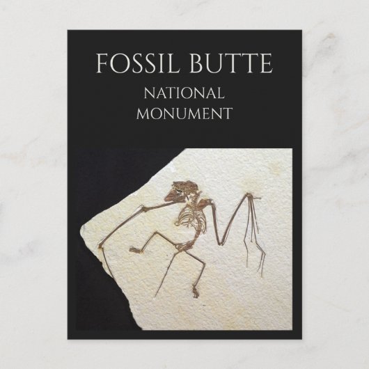 Vleermuis Fossil, van Fossil Lake, Fossil Butte, W Briefkaart (Voorkant)