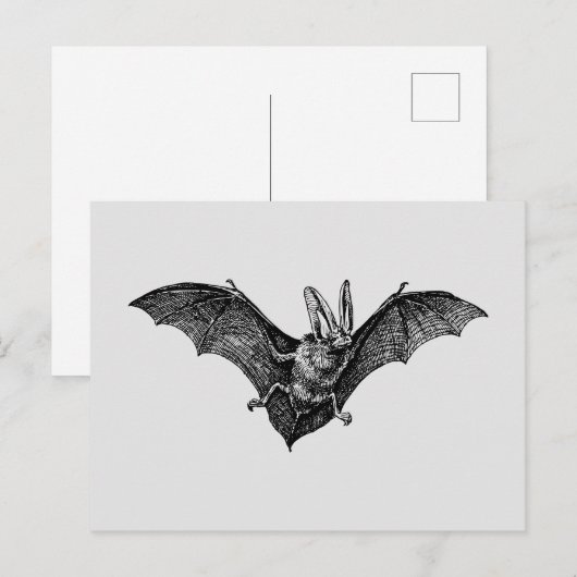  vleermuis gotische vampier briefkaart (Voorkant / Achterkant)