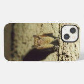 Vleermuis iPhone Hoesje (Achterkant horizontaal)