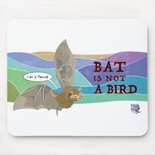 Vleermuis is geen vogel muismat (Voorkant)
