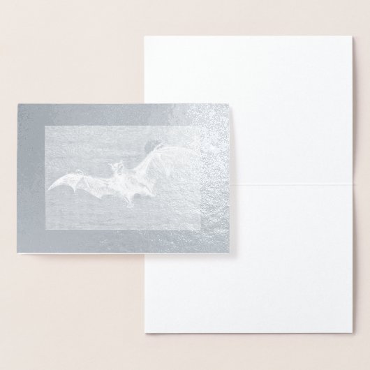  VLEERMUIS MET MAAN REAL FOLIE WENSKAART FOLIE KAARTEN (Display)