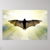 vleermuis poster (Voorkant)