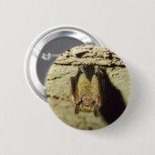 Vleermuis Ronde Button 5,7 Cm (Voorkant /achterkant)