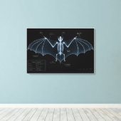 Vleermuis Skelet Röntgen Museum Exemplaar Canvas Afdruk (Insitu (Houten vloer))