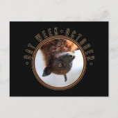 Vleermuis Week, vliegende vos Briefkaart (Voorkant)