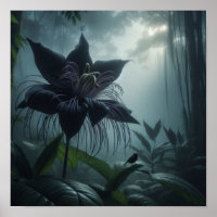 Vleermuisbloem Tussen Zeldzame Tropische Planten