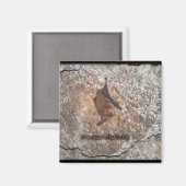 vleermuisgrot magneet (Voorkant / Achterkant)