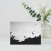 Vleermuizen boven Austin Briefkaart (Staand voorkant)