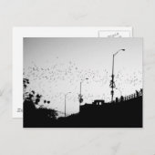 Vleermuizen boven Austin Briefkaart (Voorkant / Achterkant)