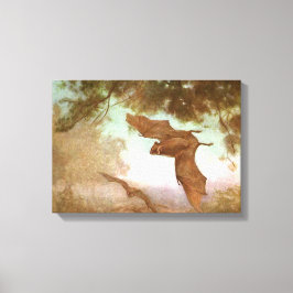 Vleermuizen door CE Swan, Oude wilde dieren Canvas Afdruk