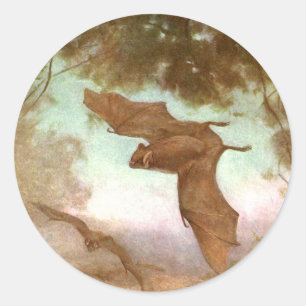 Vleermuizen door CE Swan, Oude wilde dieren Ronde Sticker