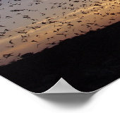 Vleermuizen in vlucht in Carlsbad Caverns Poster (Hoek)